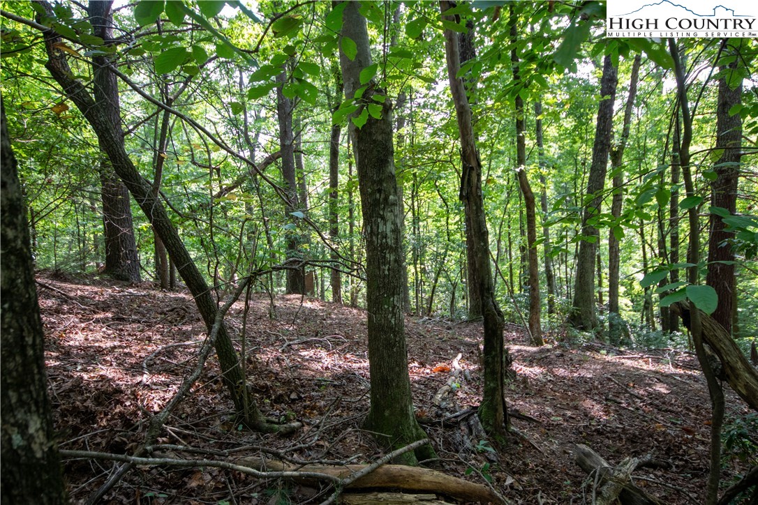 Lot# 11 Bridle Ridge Way