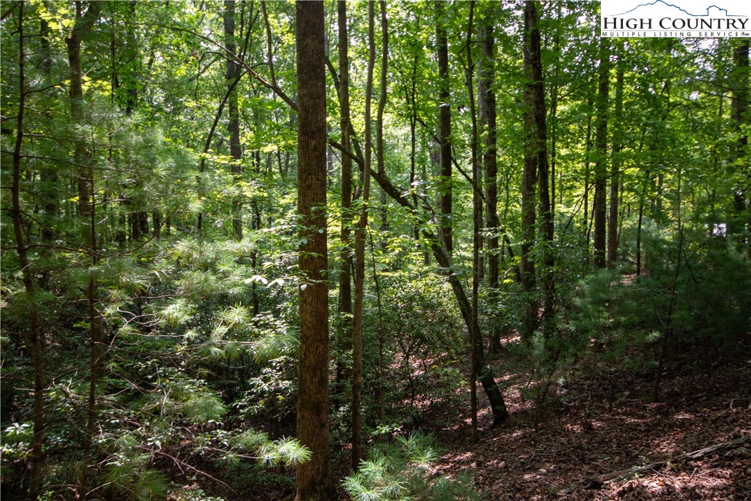 Lot# 11 Bridle Ridge Way