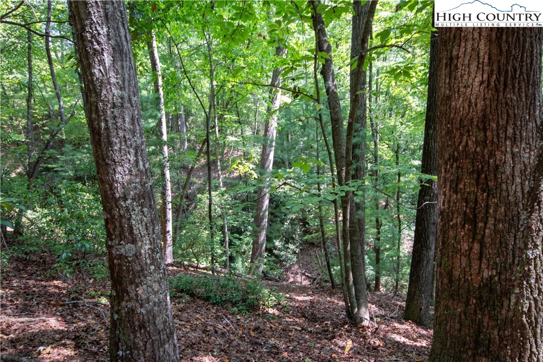 Lot# 11 Bridle Ridge Way