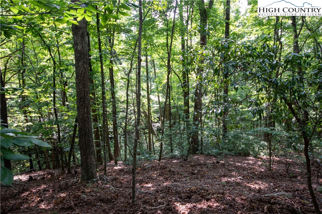 Lot# 11 Bridle Ridge Way