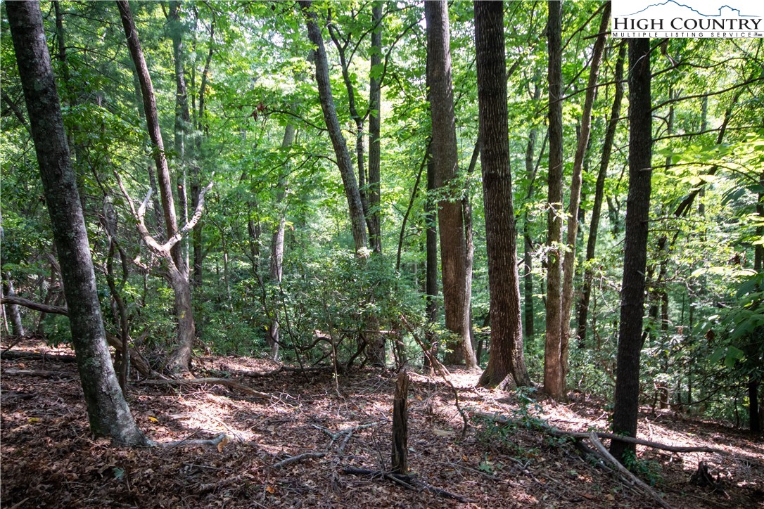 Lot# 11 Bridle Ridge Way
