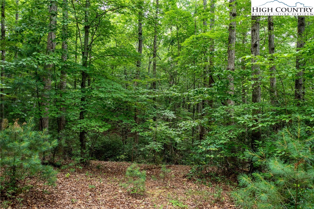 Lot# 11 Bridle Ridge Way