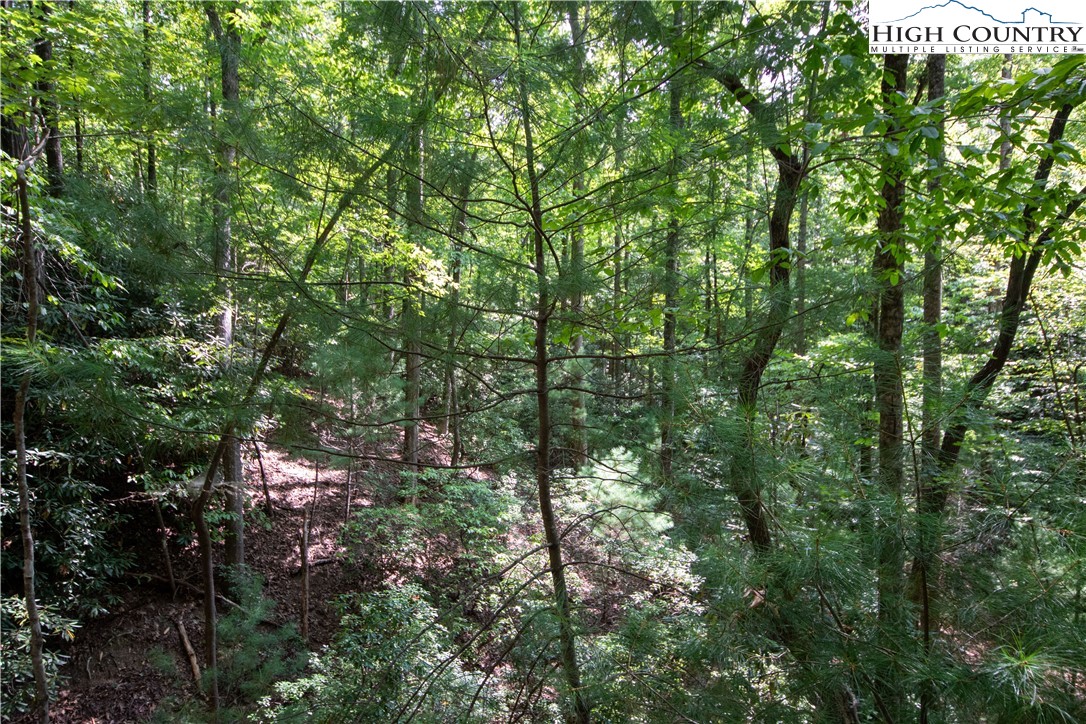 Lot# 11 Bridle Ridge Way