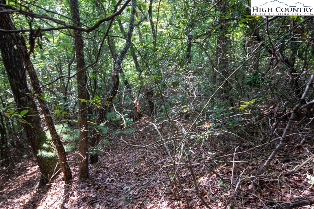 Lot# 11 Bridle Ridge Way