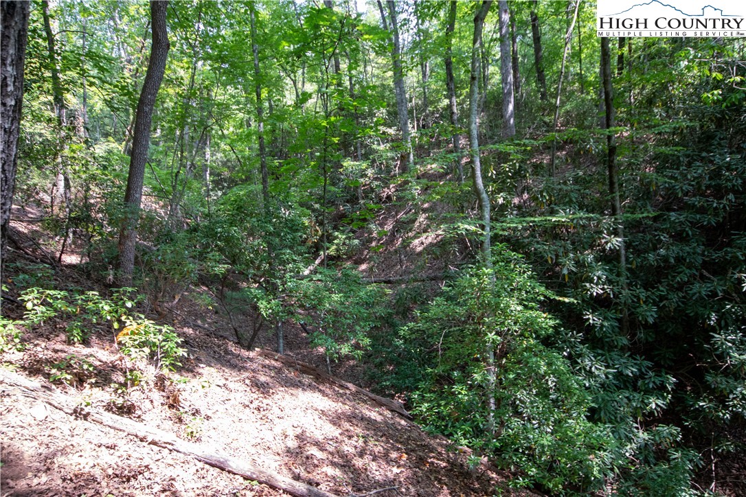 Lot# 11 Bridle Ridge Way