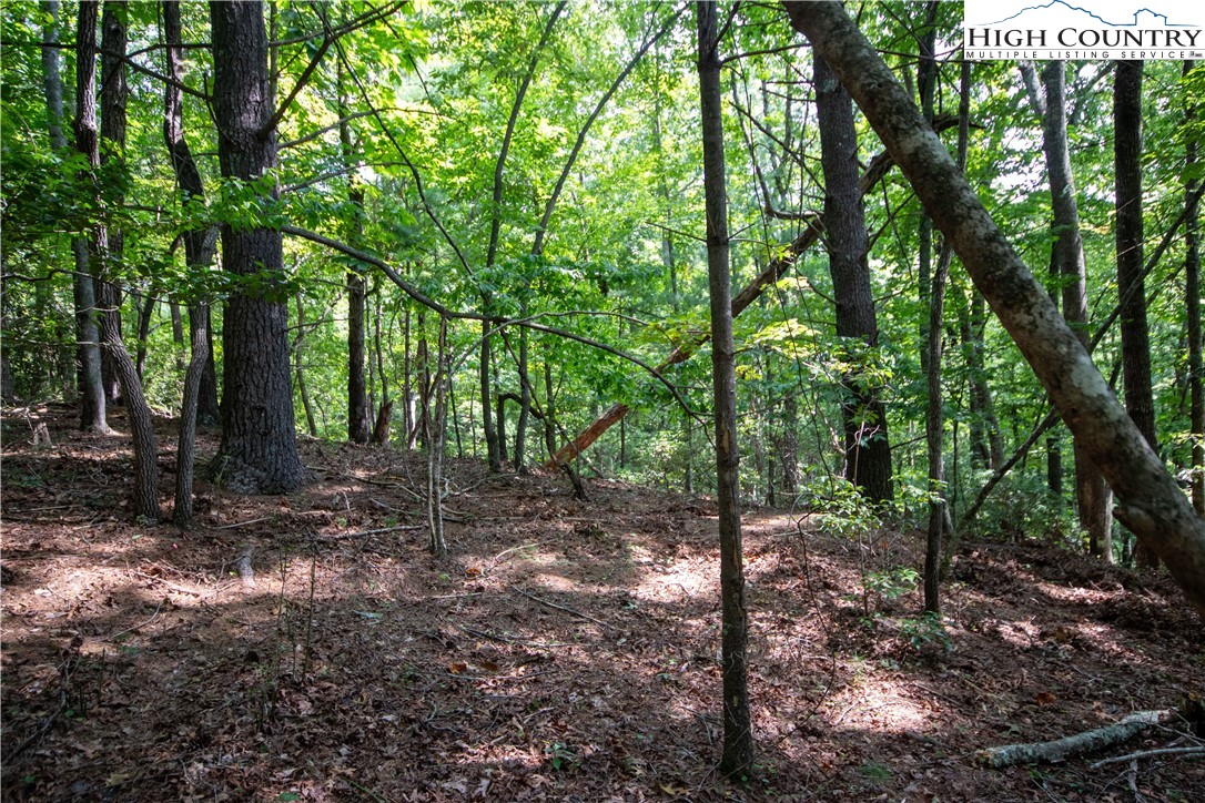 Lot# 11 Bridle Ridge Way