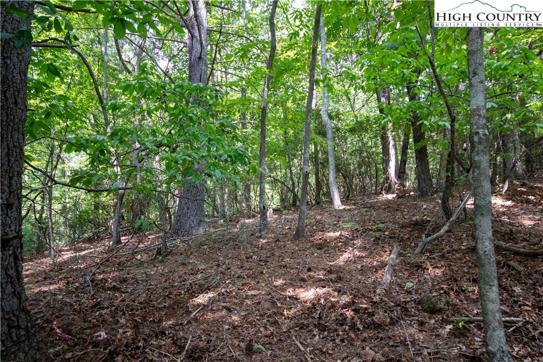 Lot# 11 Bridle Ridge Way
