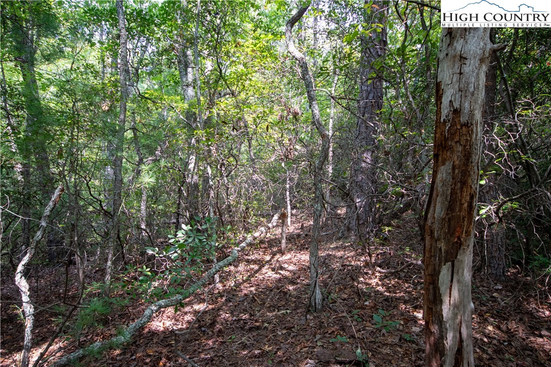 Lot# 11 Bridle Ridge Way