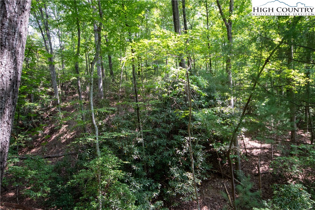 Lot# 11 Bridle Ridge Way
