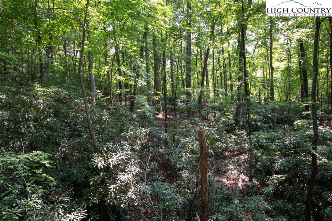 Lot# 11 Bridle Ridge Way