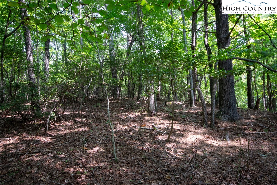 Lot# 11 Bridle Ridge Way