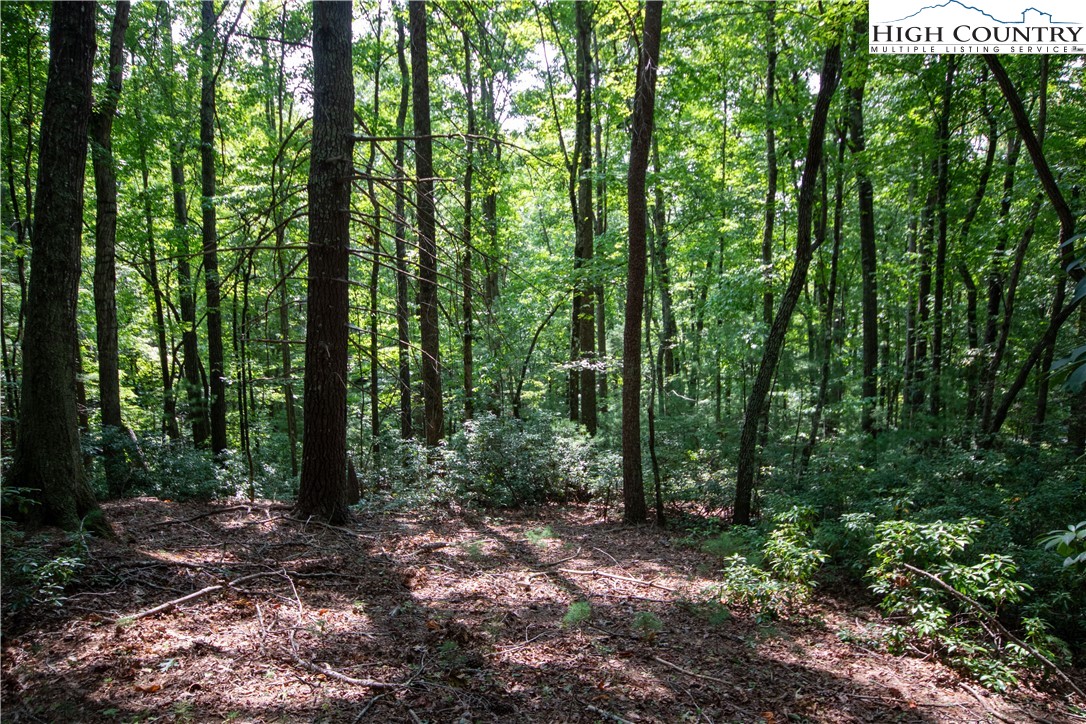 Lot# 11 Bridle Ridge Way