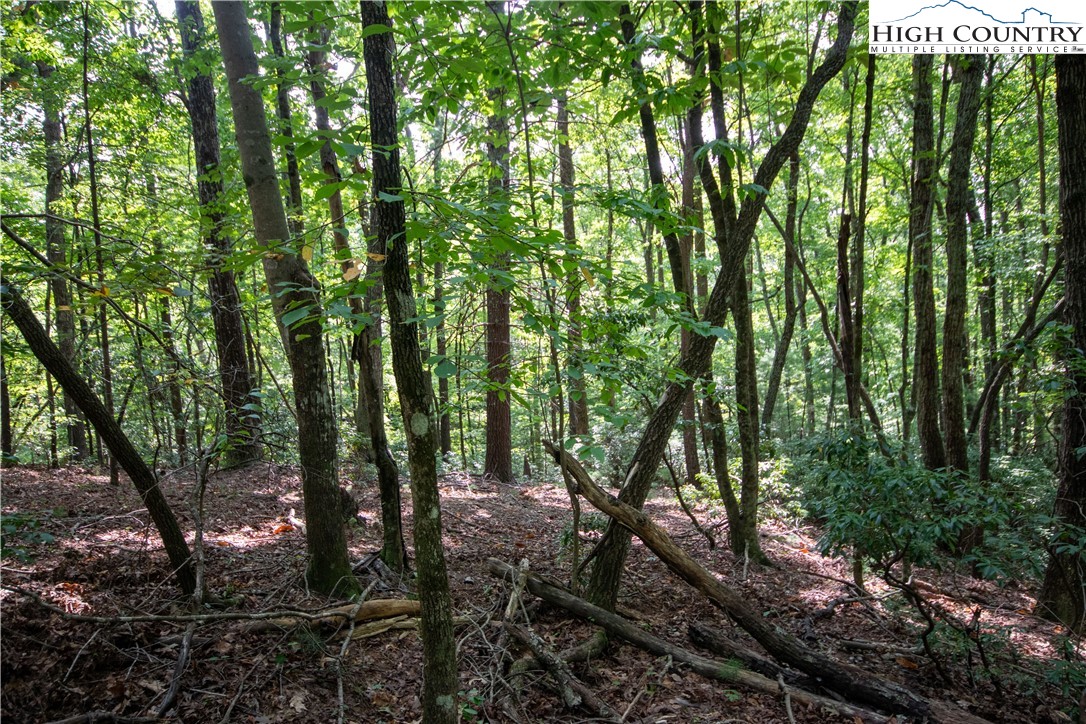 Lot# 11 Bridle Ridge Way