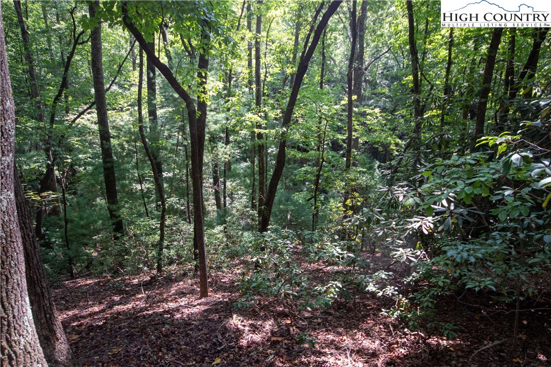 Lot# 11 Bridle Ridge Way