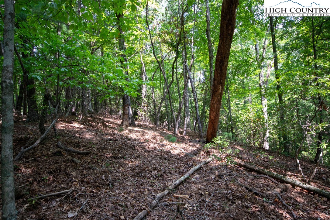 Lot# 11 Bridle Ridge Way