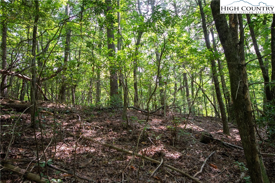 Lot# 11 Bridle Ridge Way