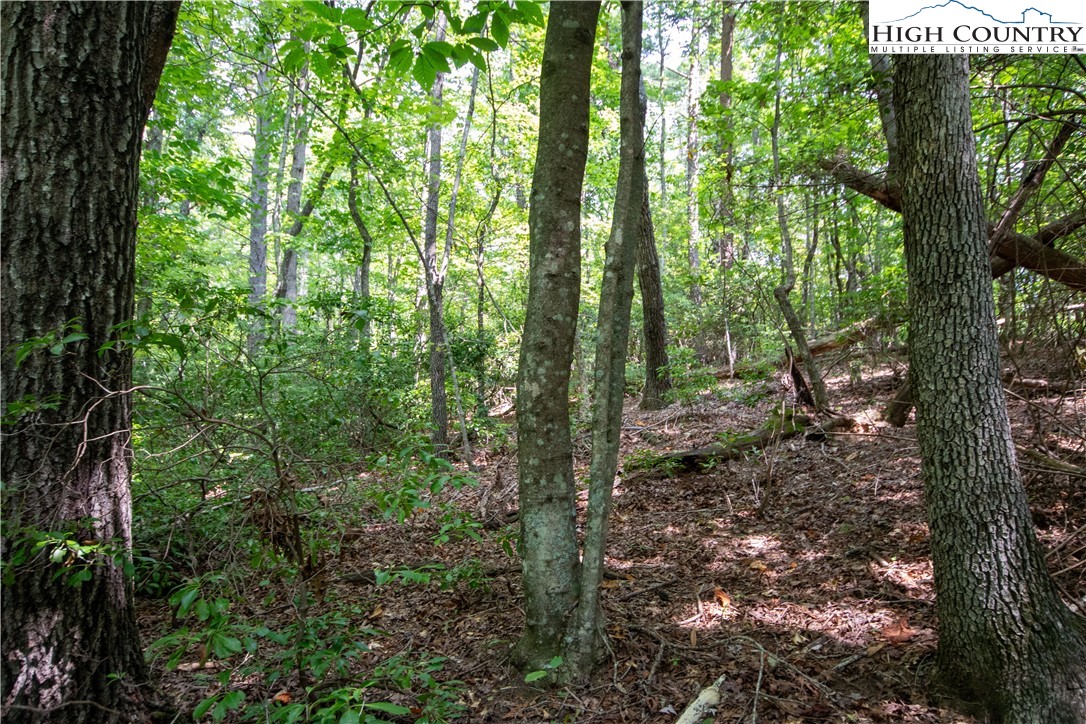 Lot# 11 Bridle Ridge Way
