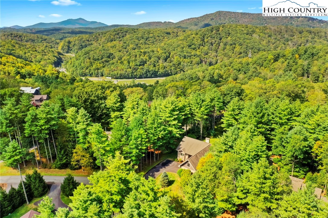 636 Black Locust Circle