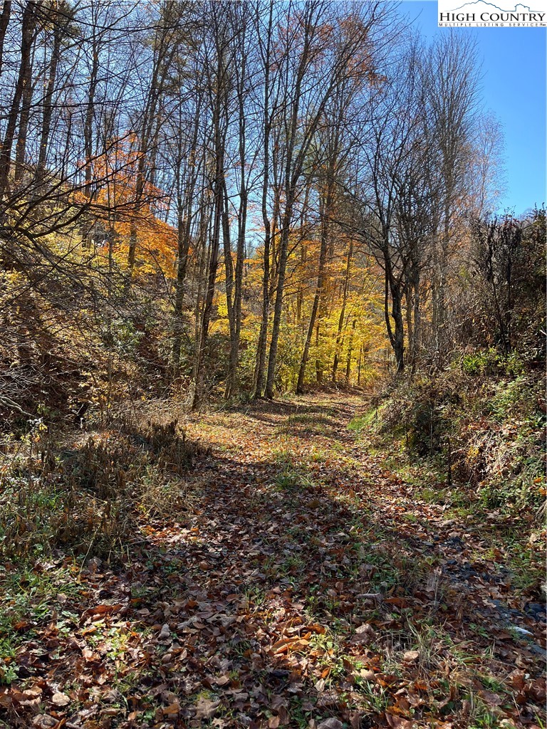 1972 S Big Horse Creek Road