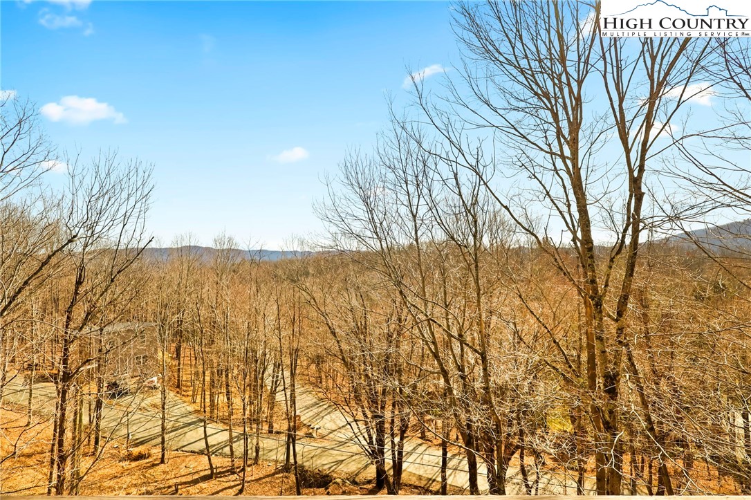 290 Alpine Drive