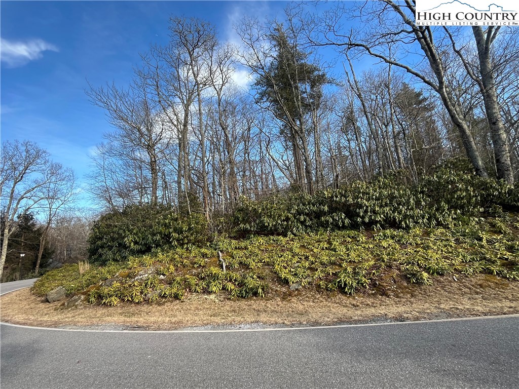 LOT 12 Wonderland Woods Drive