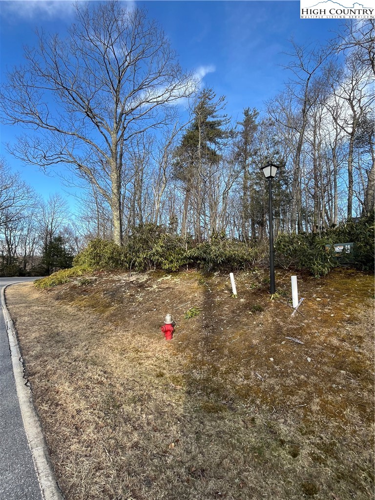 LOT 12 Wonderland Woods Drive