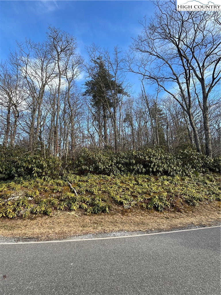 LOT 12 Wonderland Woods Drive