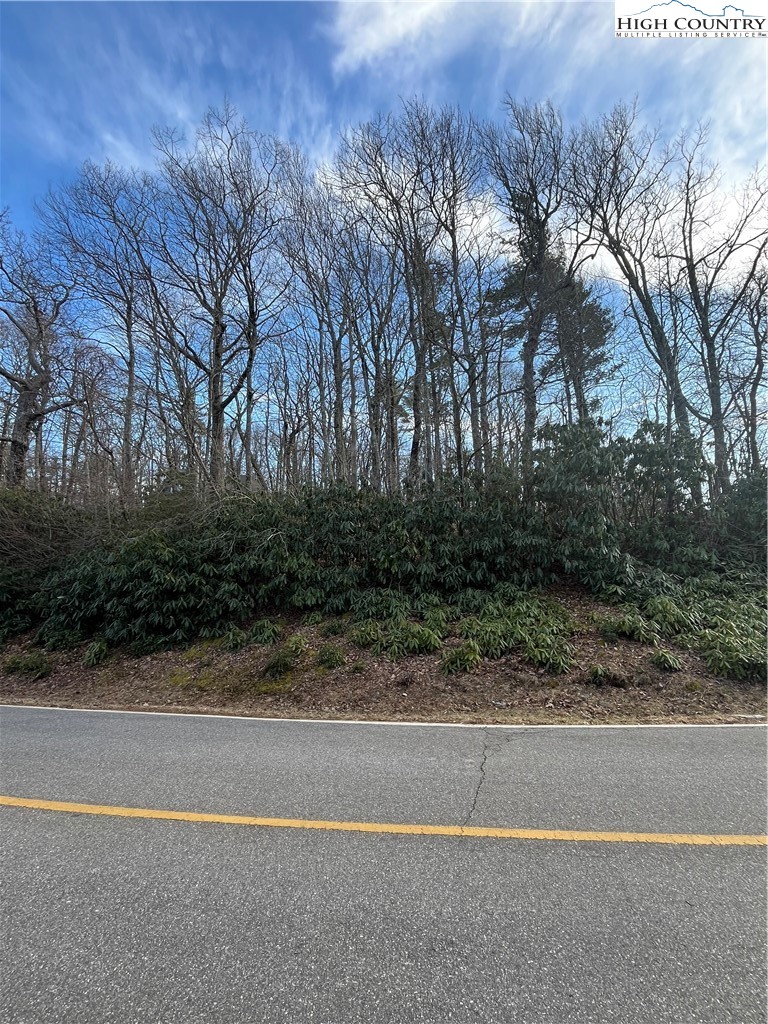 LOT 12 Wonderland Woods Drive