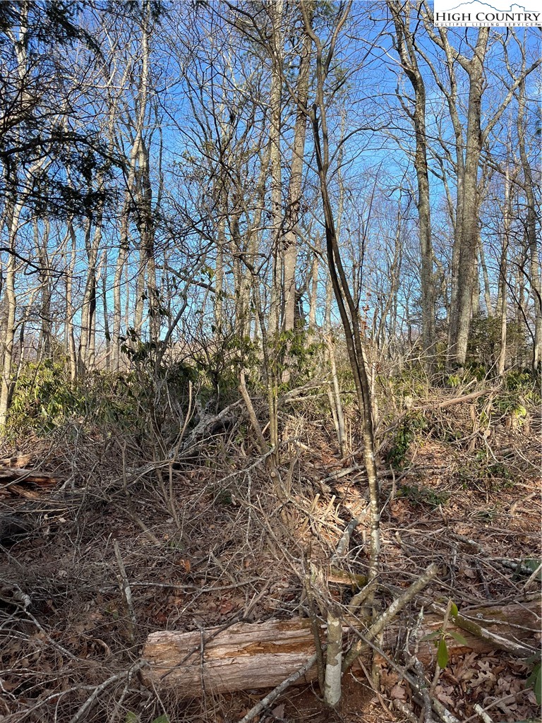 LOT 12 Wonderland Woods Drive