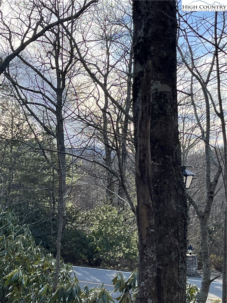 LOT 12 Wonderland Woods Drive