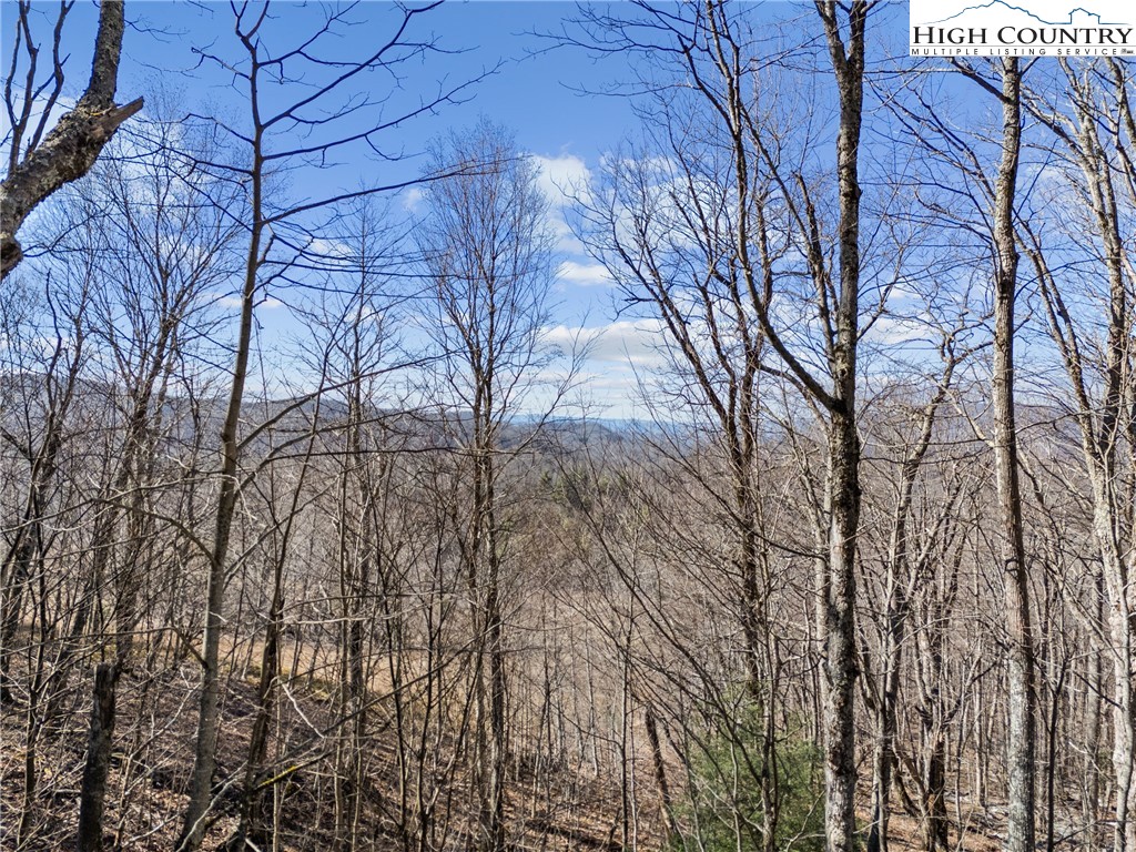 Lot 37 Ski Acres Drive