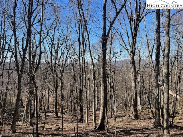 Lot 37 Ski Acres Drive