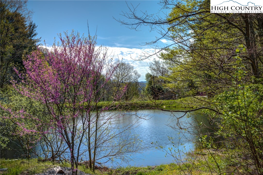 492 Willard Johnson Road
