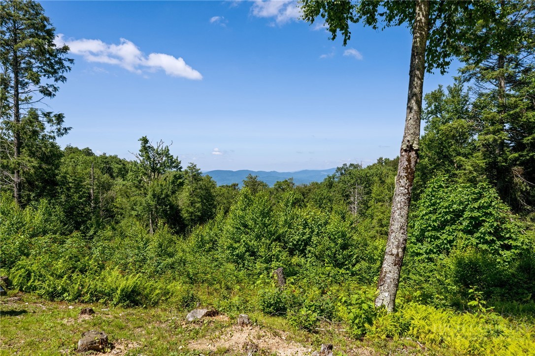77 N Eagles Nest Trail