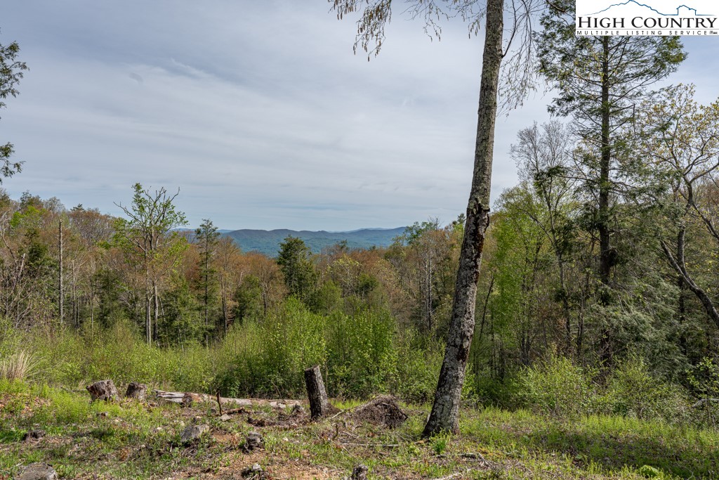 77 N Eagles Nest Trail