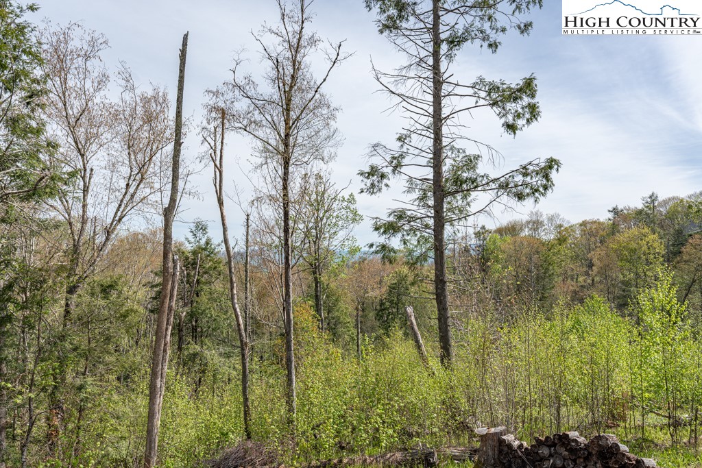77 N Eagles Nest Trail
