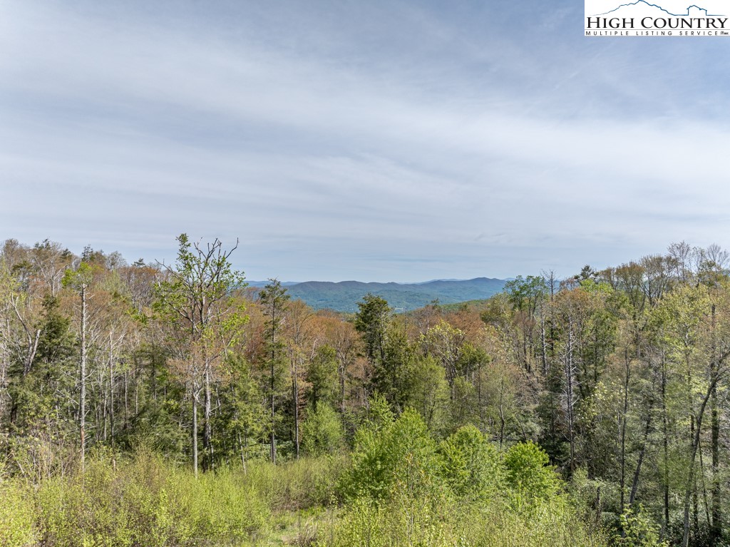 77 N Eagles Nest Trail