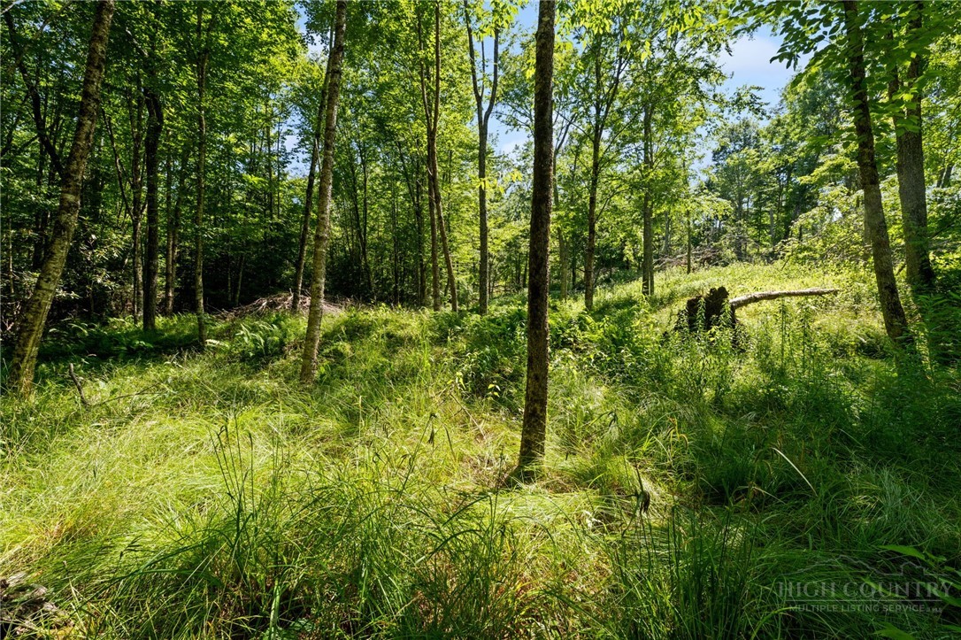 77 N Eagles Nest Trail