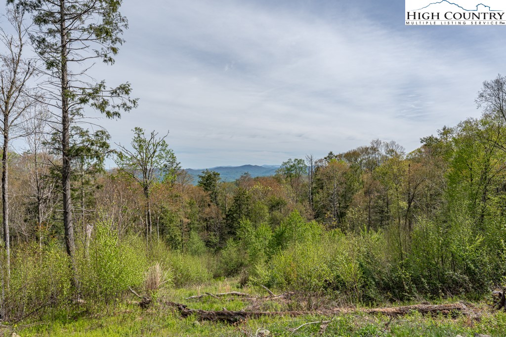 77 N Eagles Nest Trail