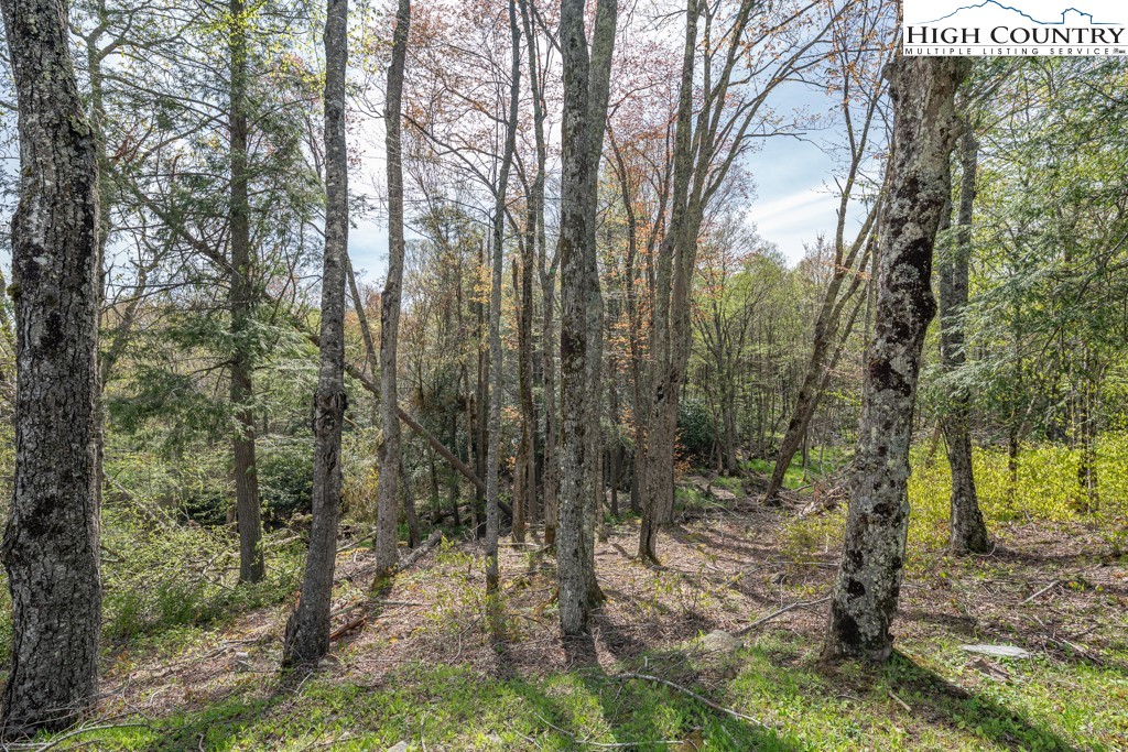 77 N Eagles Nest Trail