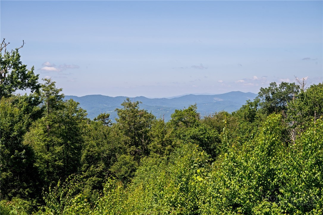77 N Eagles Nest Trail
