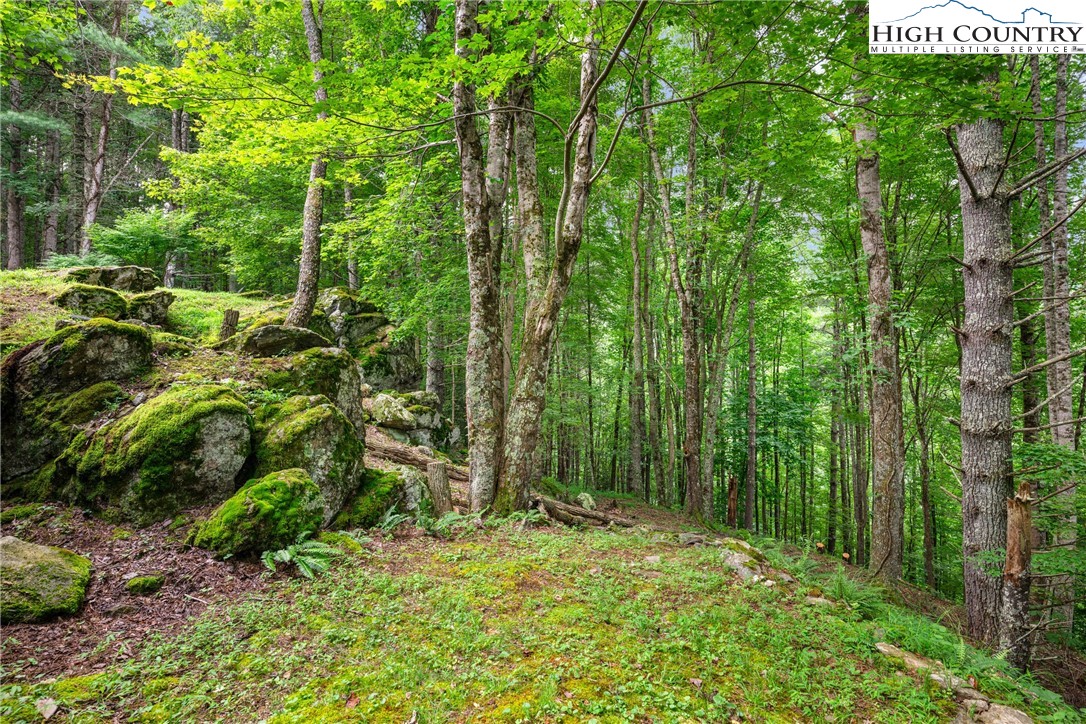 455 Laurel Creek Road