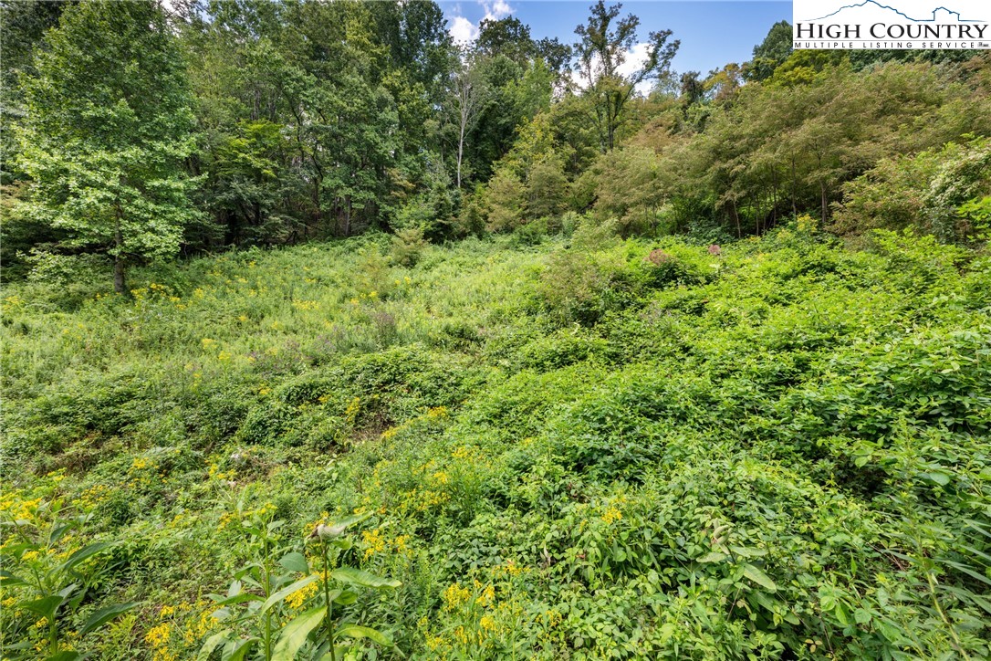 Lot 9 Yasmine Lane