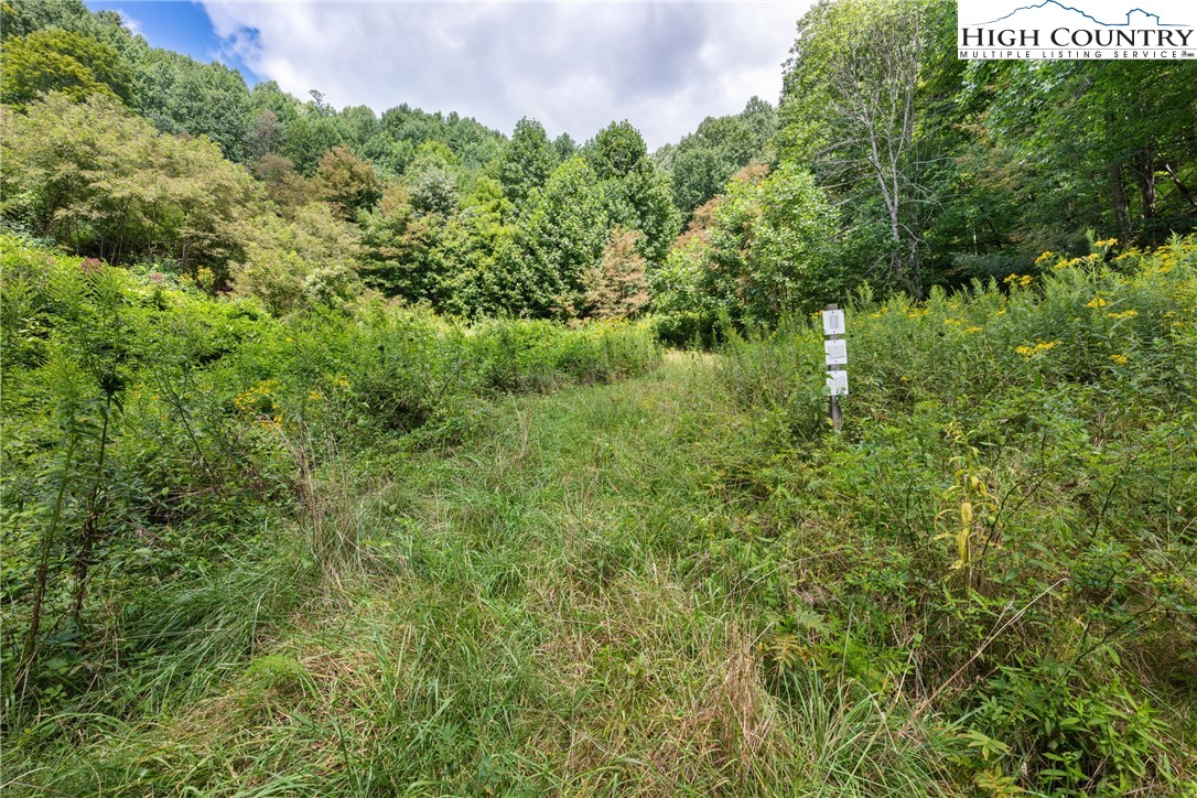 Lot 9 Yasmine Lane
