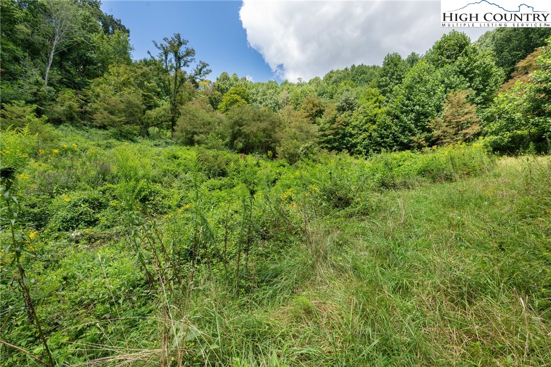 Lot 9 Yasmine Lane