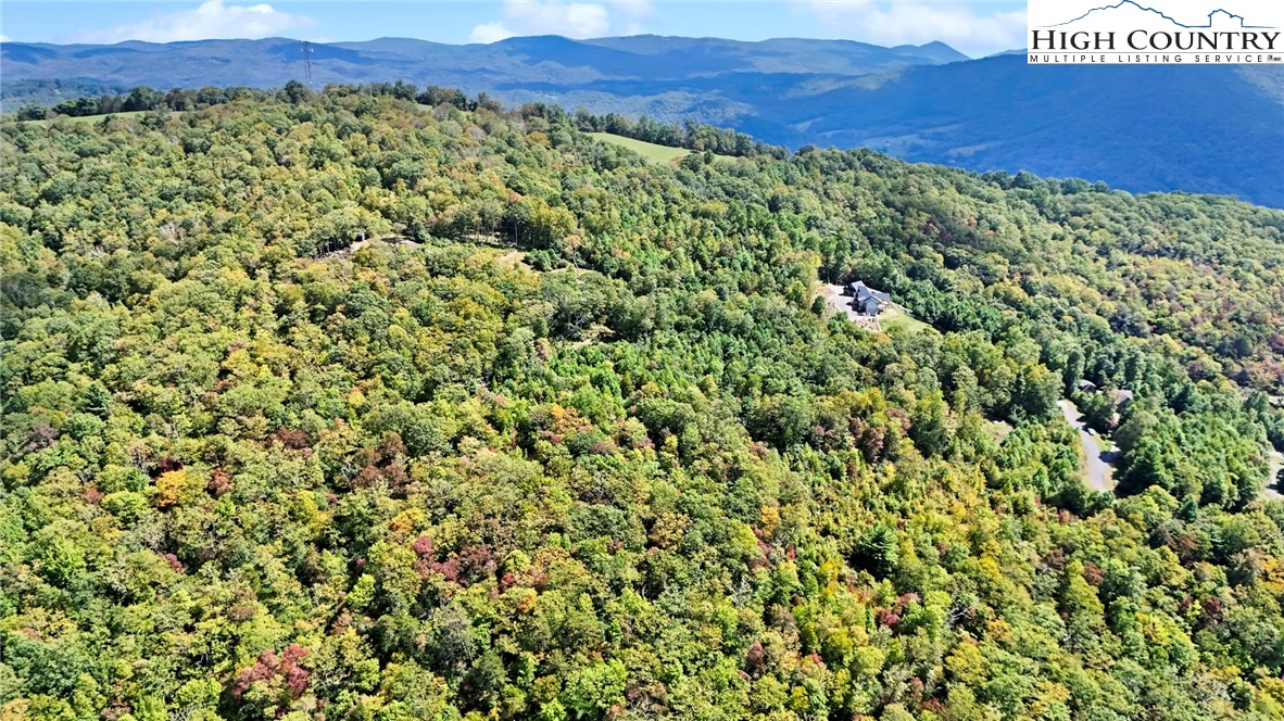 Lot 10 Mountain Laurel Parkway