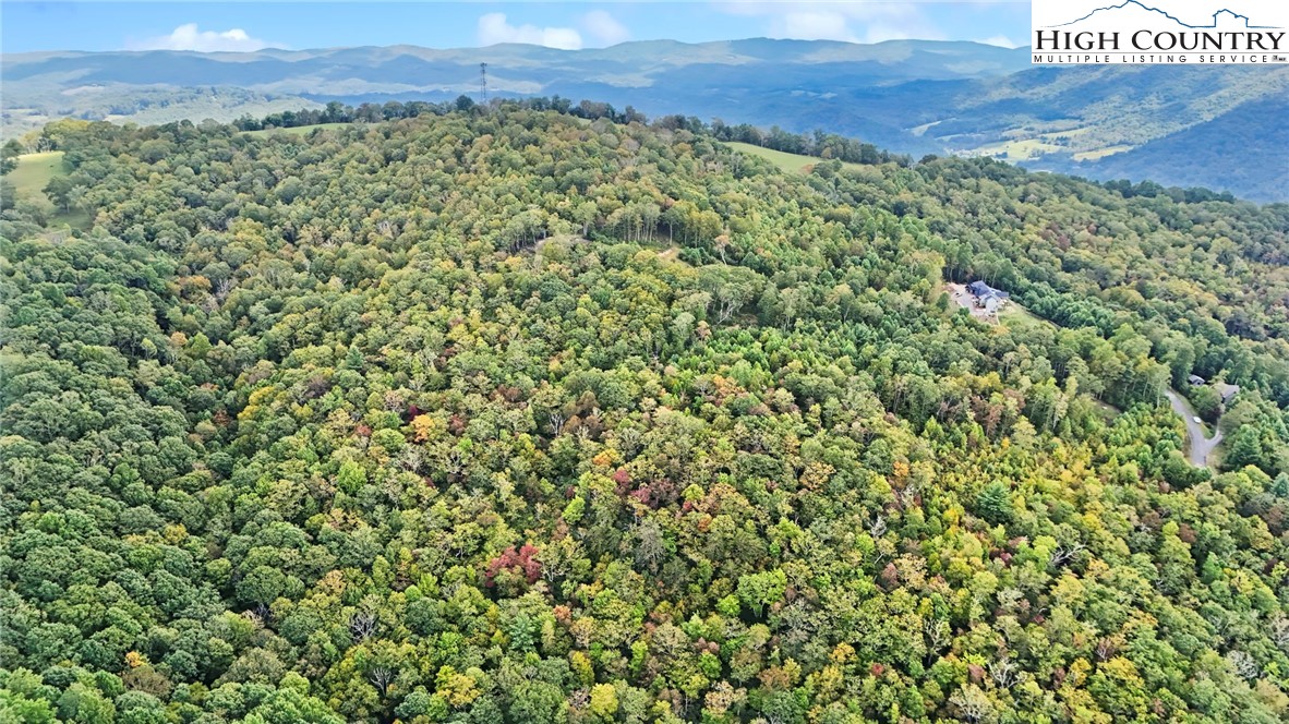 Lot 10 Mountain Laurel Parkway