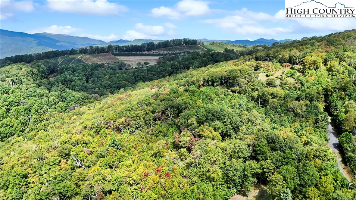 Lot 10 Mountain Laurel Parkway
