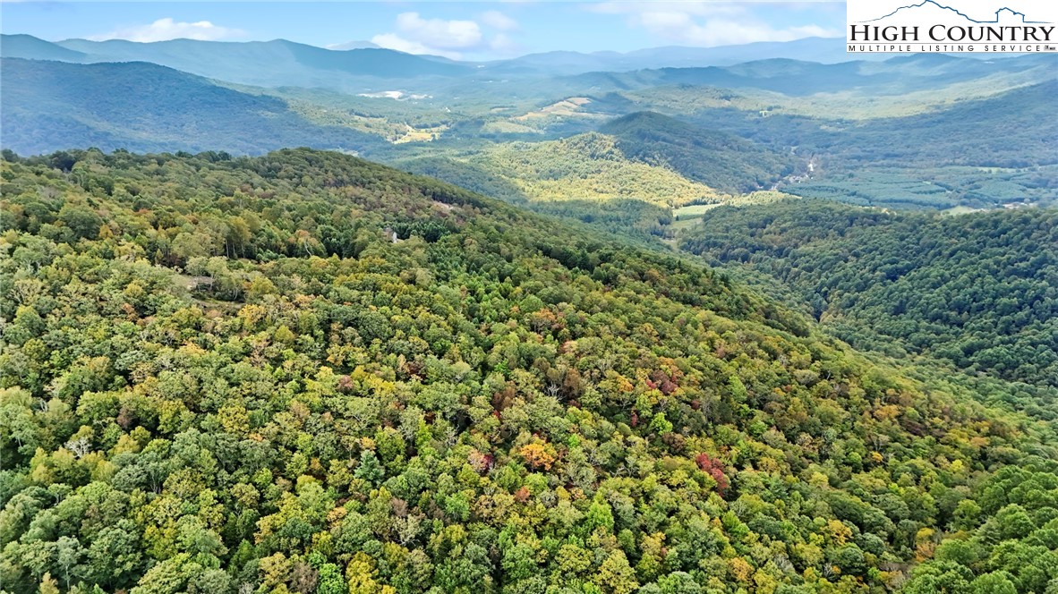 Lot 10 Mountain Laurel Parkway