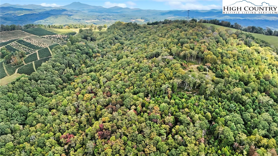 Lot 10 Mountain Laurel Parkway